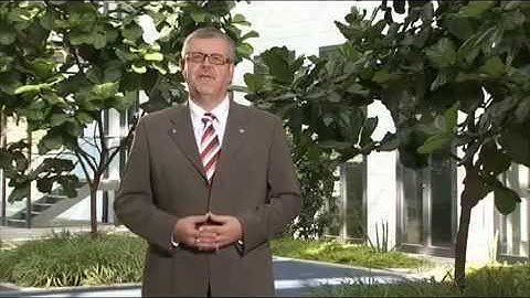 Global Development in Software Engineering