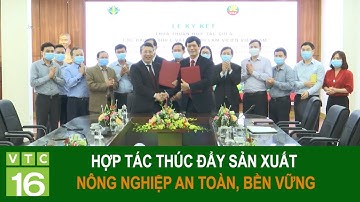 Hợp tác thúc đẩy sản xuất nông nghiệp an toàn, bền vững | VTC16