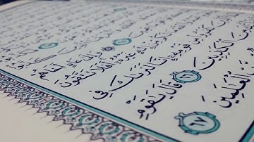 سعيد الخطيب سورة الانعام الاية 95-110