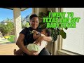 I WENT TO TEXAS AND GOT BABY FEVER/ FAMILY AFFAIR/ TCOOKSWITHFLAVE