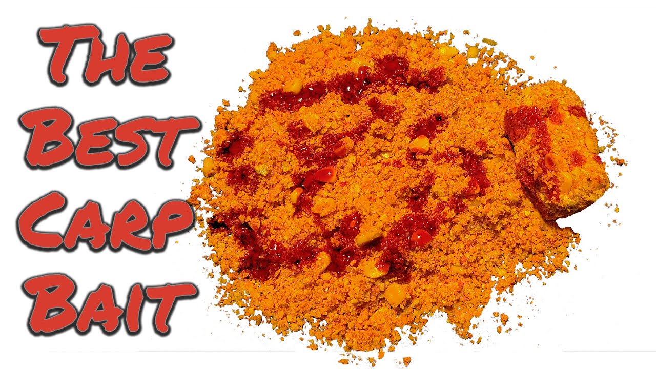 The Best Carp Bait YouTube