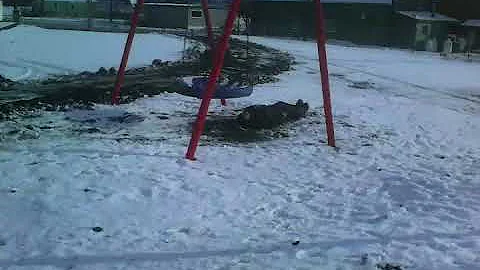 Sledding on a snow Bord