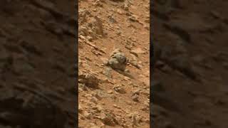 Strangest Mars Rover Discoveries part 86 #shorts