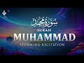Surah Muhammad سورة محمد Calm Your Heart With Wonderfull Recitation Al Taqwa TV Surah Muhammad سورة محمد Calm Your Heart With Wonderfull Recitation Al Taqwa TV