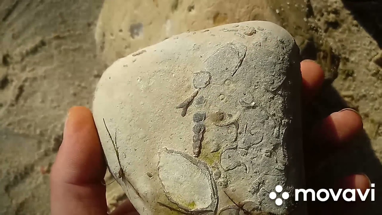 Mazurskie skamieniałości: Łańcuszek zaklęty w kamieniu. Rozpoznanie nowej miejscówki.