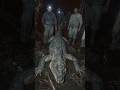 40 Foot Prehistoric Reptile Found Preserved in Florida Wetlands