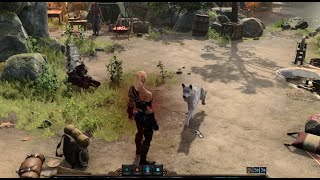 Playing fetch with Scratch 🐶🥰| Baldur's Gate 3