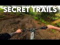 Mountain biking secret trails  have i struck gold 