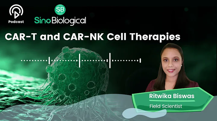 CAR-T and CAR-NK Cell Therapies