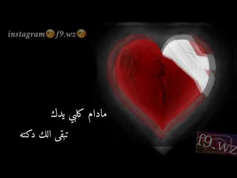 حاله وتساب وفيس حسام الرسام مادام كلبي يدك 