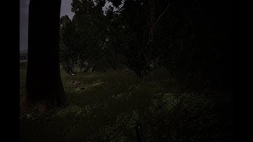 Fear and Terror - Post Scriptum - Gewehr Flank