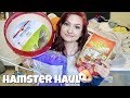 HUGE HAMSTER HAUL 🐹✨