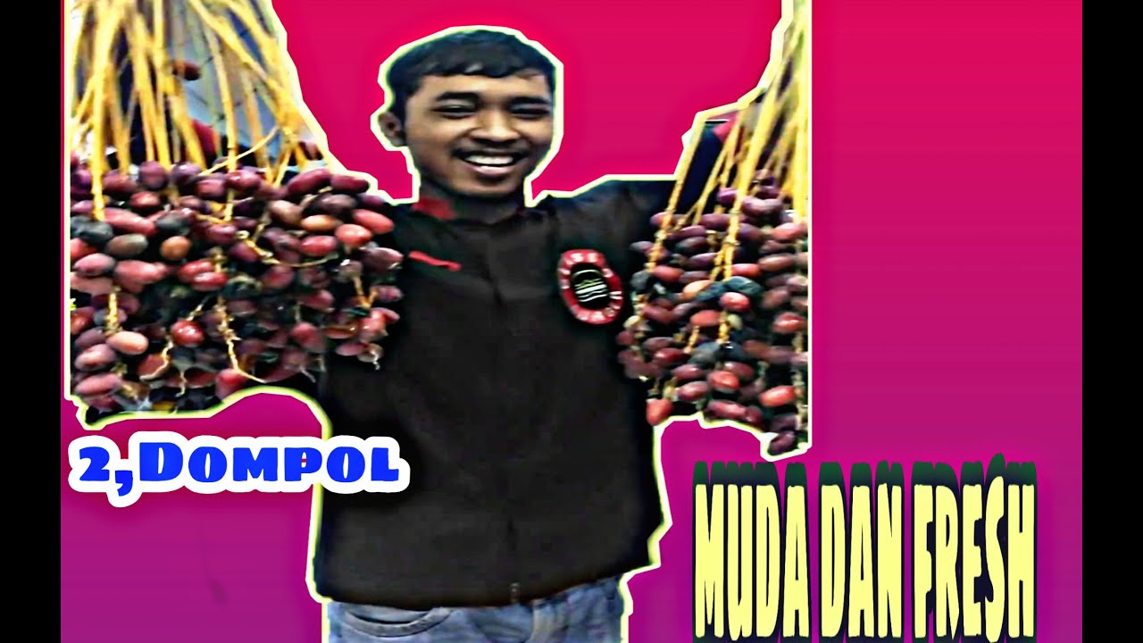 KURMA MERAH!!MUDA DAN FRESH 