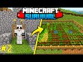 I Craft Iron Armor And Wheat Farm in Minecraft!! Survival Series Gamplay (Part 2) #twinsgamerz2.0