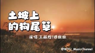 王赫野/谭维维  -  《土坡上的狗尾草》 | 最动听的华语男女神仙合唱 | 无损音质 | 热门歌曲