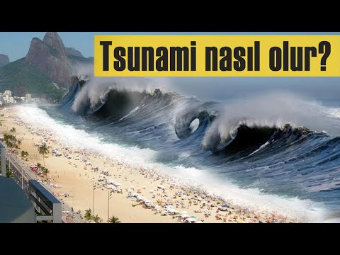 Video: Tsunami Nasıl Değişti