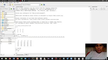 Como calcular la determinante de matrices usando la aplicación de Octave