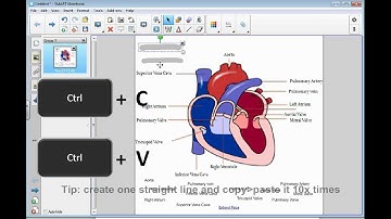 Create interactive Smartboard activity in 5 minutes (live recording)