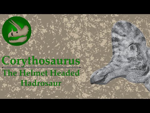 Corythosaurus | The Helmet Headed Hadrosaur