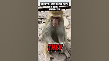 WHEN YOU BELIEVE IN YOUR MEME COIN #pulsechain #crypto #richardhart #pls #funnyanimals #cryptomemes