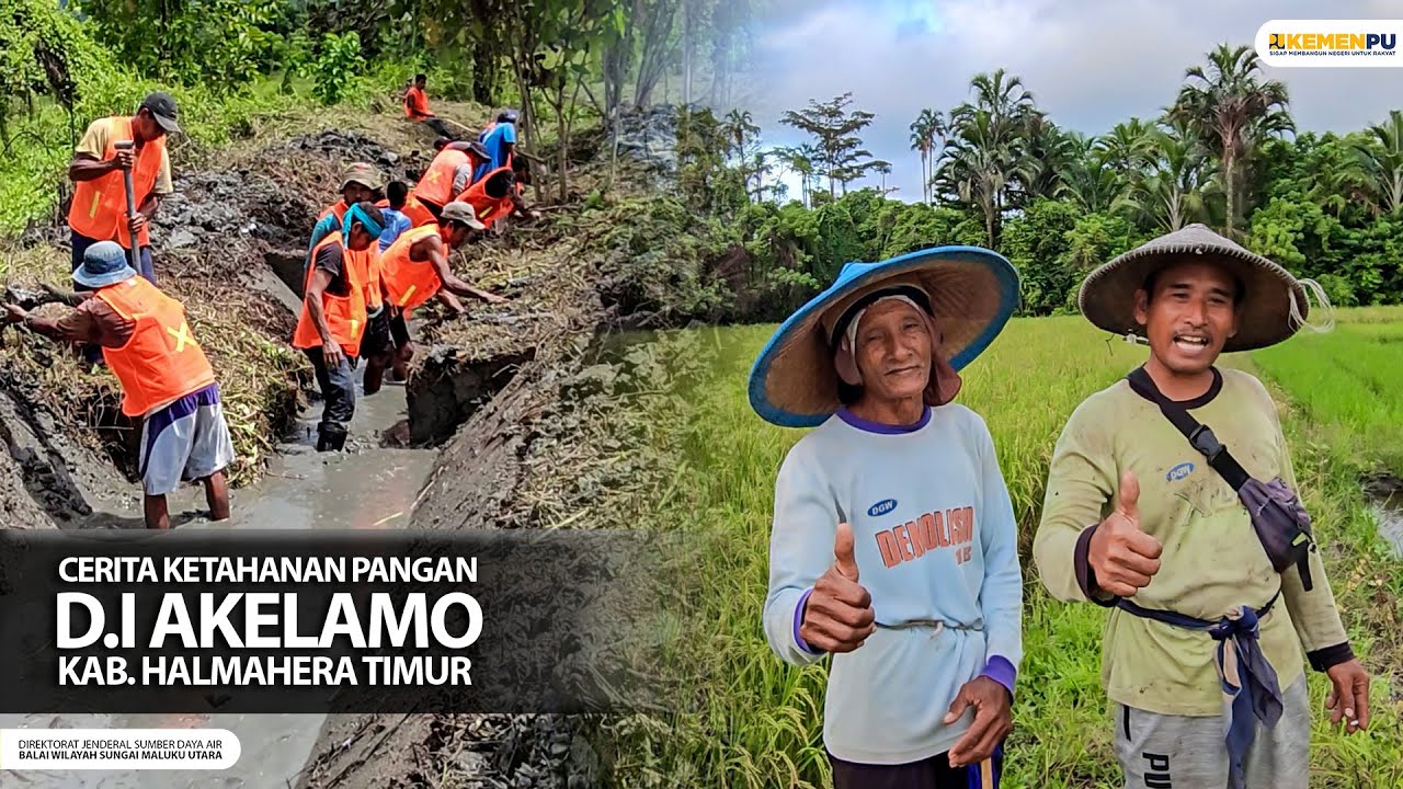 Cerita Ketahanan pangan D.I AKELAMO Kab. Halmahera timur