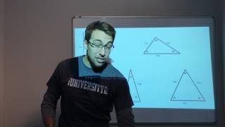 Geometry - Triangles and Quadrilaterals