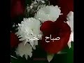 صباح الخير يا اغلى الناس