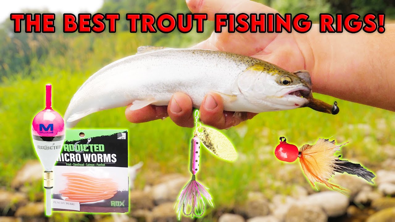 TOP 3 Trout Fishing Tactics For Creeks & Rivers (IN DEPTH HOW TO) 