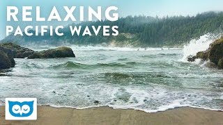 Relaxing Ocean Wave Sounds - 2 Hours Beach Waves for Sleep & Relaxation