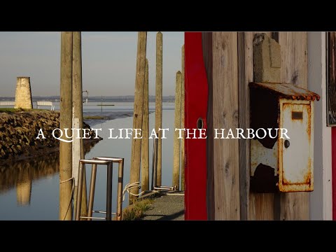 A Quiet Life at the harbour  -  AUDENGE - Bassin d'Arcachon  - French coast