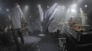 Steal This System Plays Sugar Live