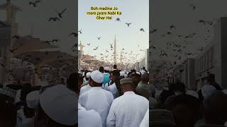 ✨🕋 Boh madina Jo mere pyare Nabi Ka Ghar Hai#love short #Islamic short #🤲🤲🤲🤲🤲