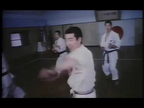 JKA Karate - Tanaka Masahiko Shihan - Hombu Dojo Instructors training!