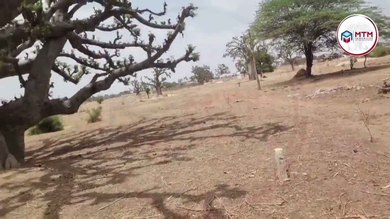 PRESENTATION DE LOTS DE TERRAINS 300M² A NIANING