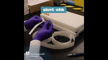 Not Your Average ASMR: Glass, Labels, and Laboratory Magic