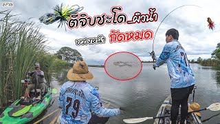 EP.116 ตามลายแทงแผนที่ หมายปลาชะโดจิบ โปรชะโดไทย #mohok #fishing #tsf #o2