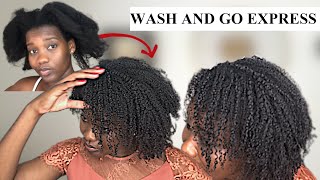 ROUTINE WASH AND GO EXPRESS SUR CHEVEUX CREPUS TYPE 4 + COIFFURES