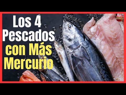 Video: ¿La piel del pescado contiene mercurio?