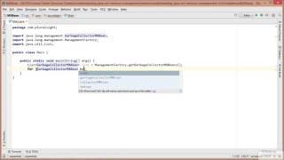 03 02 Using MX Beans to to Garbage Collection Data