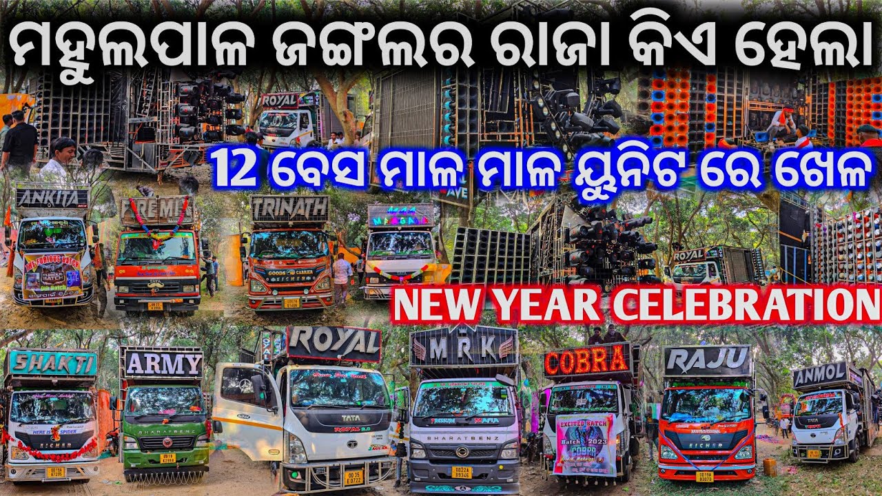 ଜଙ୍ଗଲ ର ରାଜା କିଏ ? 12 ବେସ ମାଳ ମାଳ ୟୁନିଟ ll New Year Celebration Mahulpal Village 