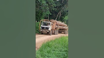 Logging truck arrival in sawmill factory! #trendingshorts
