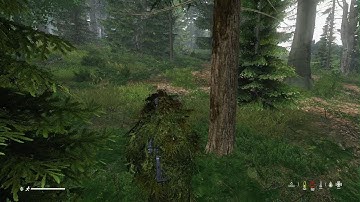 Killing DayZ Roleplayers at the trader