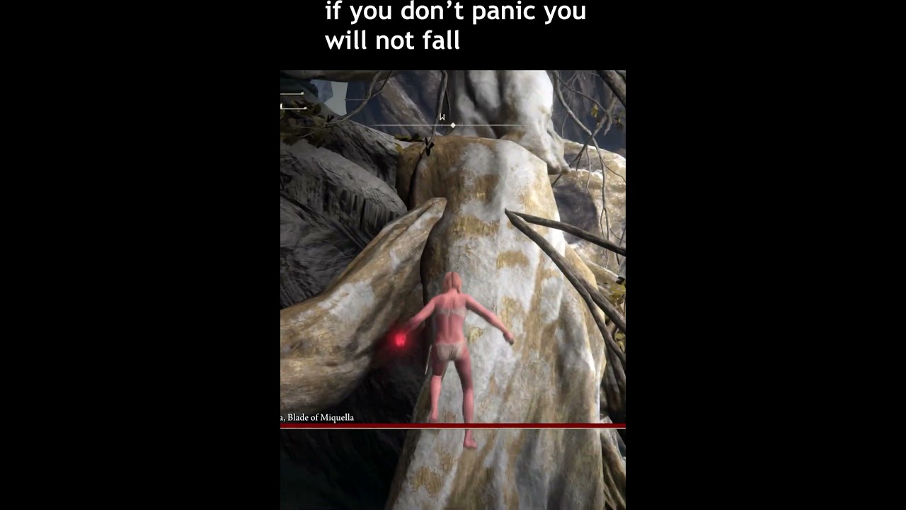 Malenia cheese ( climbing branch ) 27 May 2025 Works  