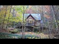 We Bought a Tiny Cottage in the Middle of the Woods