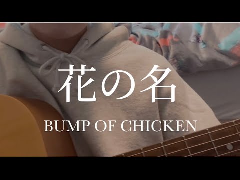 花の名／BUMP OF CHICKEN【弾き語り】【ギター初心者】【cover】