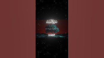 سورة النساء|27-28|القارئ:#محمد_اللحيدان #قران #quran #قران_كريم #تلاوة #تلاوة_هادئة #آية#تلاوة_خاشعة