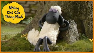 Những Chú Cừu Thông Minh 🐑 Cừu Lười Phim hoạt hình sử thi đầy đủ Tập đầy đủ