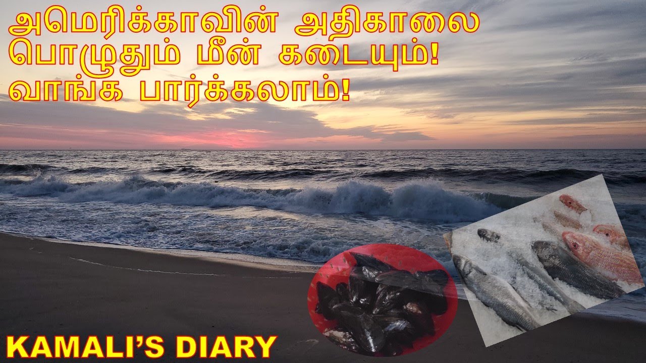 Early morning Sunrise in New Jersey beach & fresh fish store| Kamalis Diary