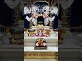Shree parvat bole Shree Radha Radha #krishna #govardhan #vrindavan #premmandir