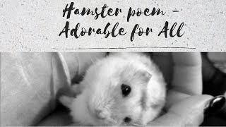 Hamster Poem - Adorable for All; poem by Muna Bruzon by With My Own Two Hands 527 views 2 years ago 1 minute, 42 seconds